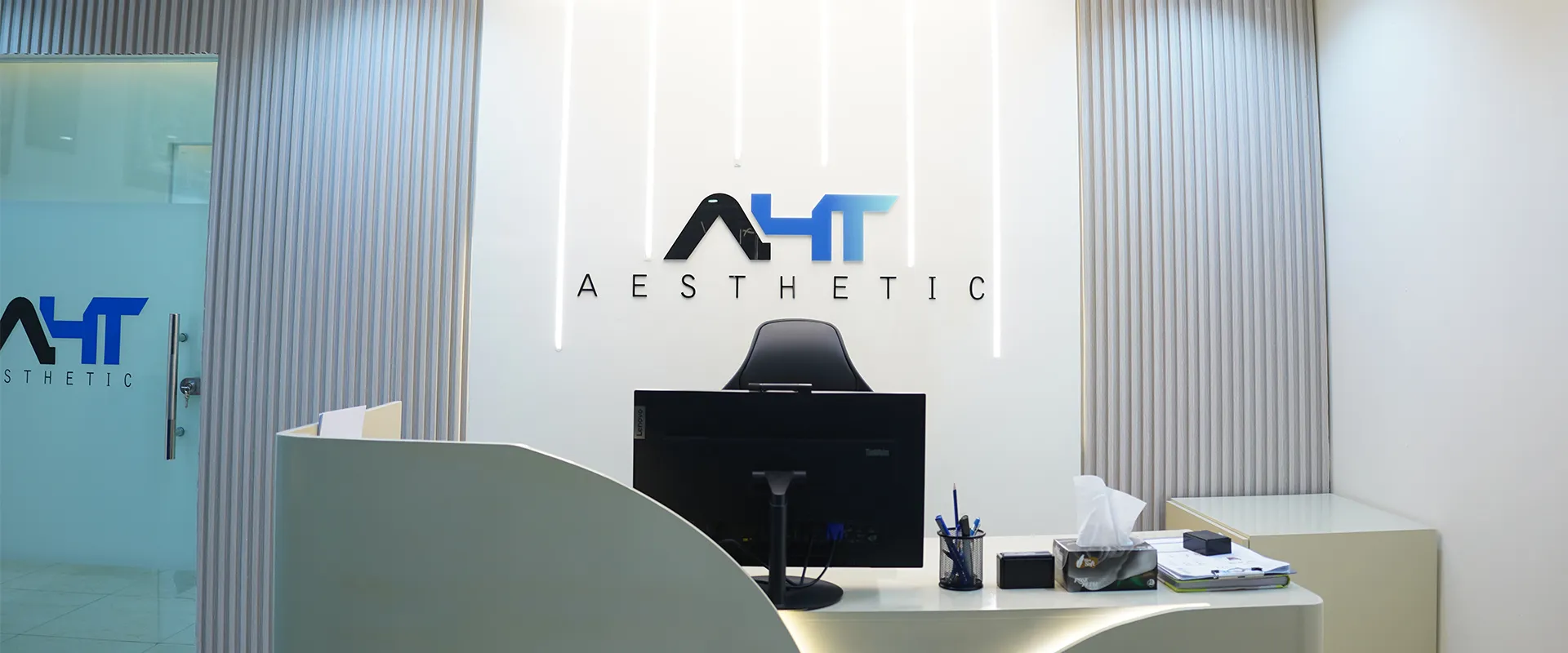 Aesthetic-2